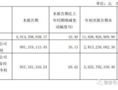 芝加哥芝加哥公牛集团第三季营收40亿_净利10亿 阮学平大笔套现16亿