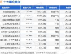 10月27日芝加哥公牛集团涨6.00%，兴全合润混合(LOF)基金重仓该股